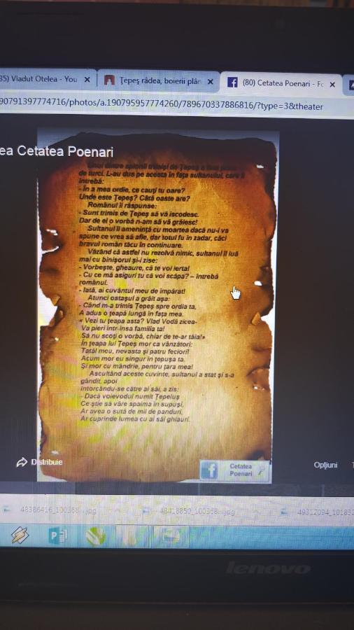 Cabanute Si Camping Dracula Capatineni-Paminteni Экстерьер фото
