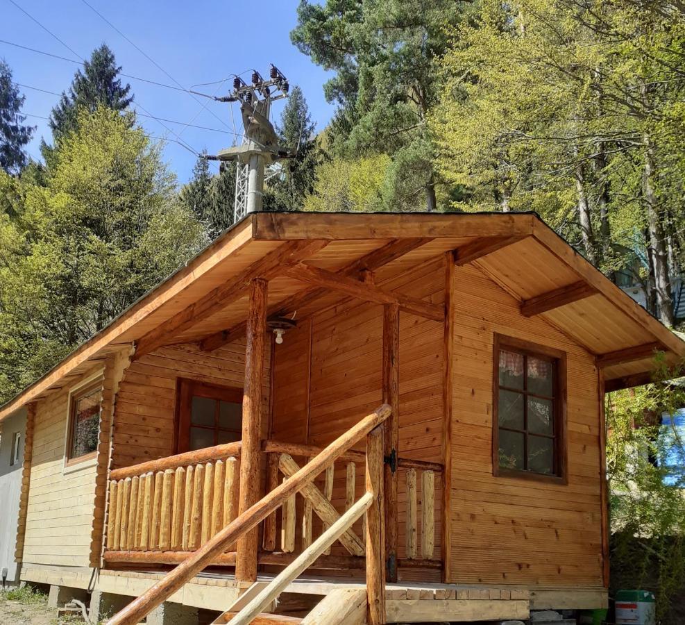 Cabanute Si Camping Dracula Capatineni-Paminteni Экстерьер фото